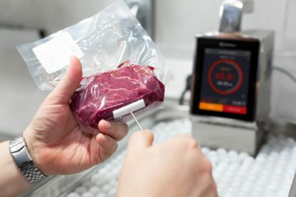 Sous-Vide Probe Foam Seal - Image 2